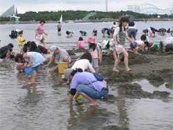 横浜海の公園（三浦半島）では、無料で天然アサリの潮干狩りが楽しめます