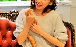 蛇カフェ／ヘビと触れ合うこともできます。ヘビカフェ 東京スネークセンター