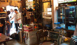 爬虫類カフェ／多くの爬虫類に囲まれたアットホームな店内。爬虫類喫茶 アゲイン