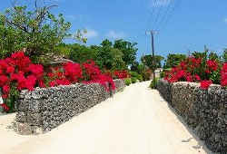 美しい白砂の道／竹富島の超人気おすすめスポット～沖縄の離島で過ごす癒しの時間