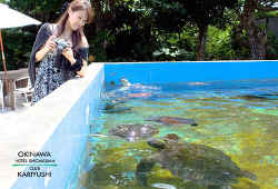 黒島研究所・ウミガメの飼育施設／黒島の超人気おすすめスポット～沖縄の離島で過ごす癒しの時間