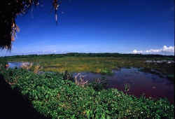 池間湿原／池間島の超人気おすすめスポット～沖縄の離島で過ごす癒しの時間