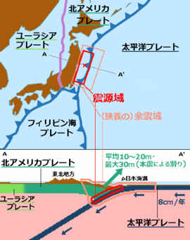 2011年東北地方太平洋沖地震の震源域／プレート境界型地震と直下型地震との違い