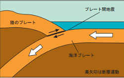 プレート境界型地震発生のしくみ／プレート境界型地震と直下型地震との違い