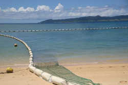 ハブクラゲ防止ネットが張られた海水浴場／沖縄のクラゲ