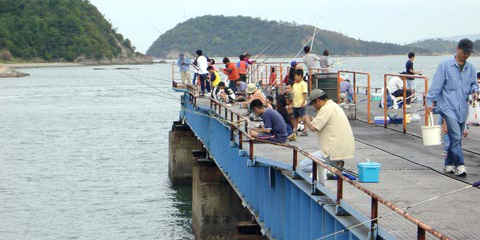 釣りができる人気のキャンプ場　中国地方