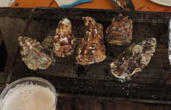 牡蠣小屋 横浜・八景島海の公園店。殻付き牡蠣は、殻の薄い平らなほうから先に焼きます！
