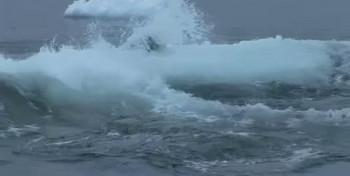 氷上のアザラシを狩るシャチ。大波が押し寄せアザラシは流し落とされます／最強の海洋生物 シャチの生態と知恵