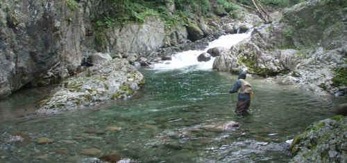 大倉川は福島県を代表する渓流釣りのメッカ／福島県 釣りができる人気のキャンプ場