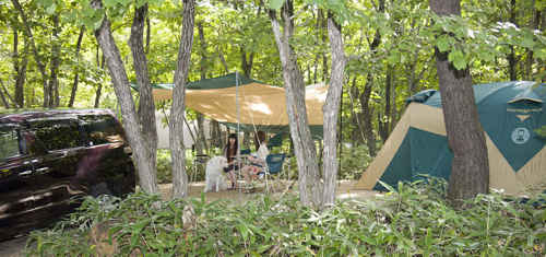 羽鳥湖高原レジーナの森 コールマンキャンプグラウンド／福島県キャンプ場 ランキング上位 福島で人気のキャンプ場